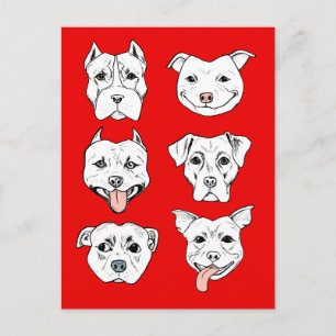 Carte Postale Chien rouge Pit Bull Terrier