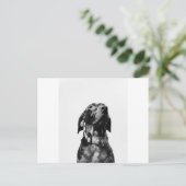 Carte Postale chien royal bw (Debout devant)