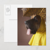 Carte Postale Chien sanglant. (Devant / Derrière)
