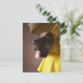 Carte Postale Chien sanglant. (Debout devant)