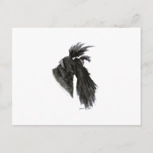 Carte Postale Chien Schnauzer, tony fernandes