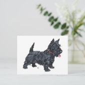 Carte Postale Chien Scottie fougueux (Debout devant)