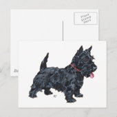 Carte Postale Chien Scottie fougueux (Devant / Derrière)