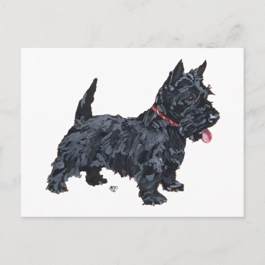 Carte Postale Chien Scottie fougueux (Devant)