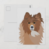 Carte Postale Chien Sheltie (Devant / Derrière)