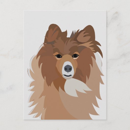 Carte Postale Chien Sheltie (Devant)