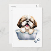 Carte Postale Chien Shih Tzu (Devant / Derrière)