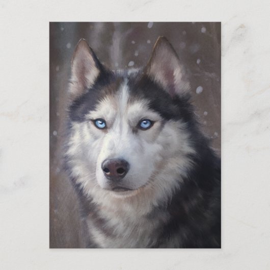Carte Postale Chien sibérien Husky (Devant)