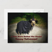Carte Postale Chien sorcier allemand (Devant / Derrière)
