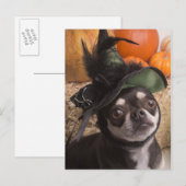 Carte Postale Chien sorcier d'Halloween (Devant / Derrière)