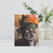 Carte Postale Chien sorcier d'Halloween (Debout devant)