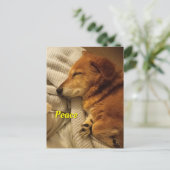 Carte postale Chien Souriant (Debout devant)