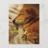 Carte postale Chien Souriant (Devant)