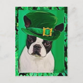 Carte Postale chien st patrick (Devant)