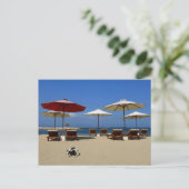 Carte Postale Chien sur la plage (Debout devant)