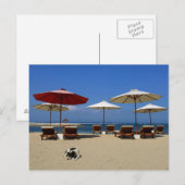 Carte Postale Chien sur la plage (Devant / Derrière)