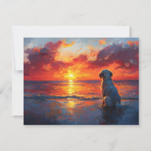 Carte Postale Chien sur la plage à regarder le coucher du soleil