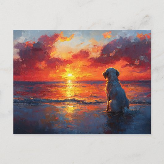 Carte Postale Chien sur la plage à regarder le coucher du soleil (Devant)