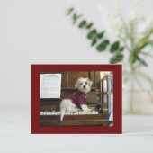 Carte Postale Chien sur le piano (Debout devant)