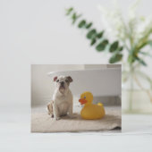 Carte Postale Chien sur tapis avec canard en plastique (Debout devant)