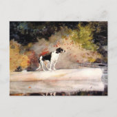 Carte Postale Chien sur un rond-point (Devant)