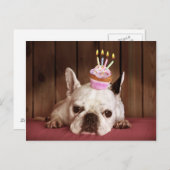 Carte Postale Chien-taureau français avec Cupcake d'anniversaire (Devant / Derrière)