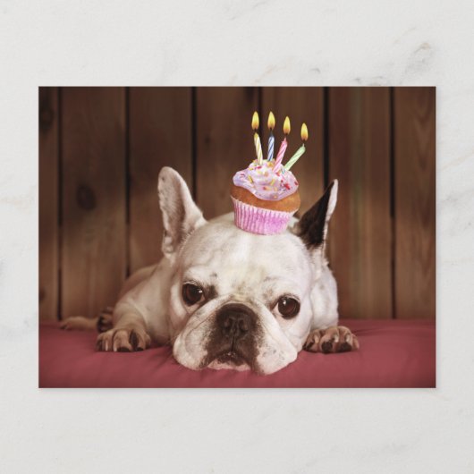 Carte Postale Chien-taureau français avec Cupcake d'anniversaire (Devant)
