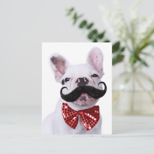 Carte Postale Chien taureau français Chien Chien Chien Chien Ave (Debout devant)