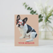 Carte Postale Chien-taureaux français noir et blanc portant des (Debout devant)