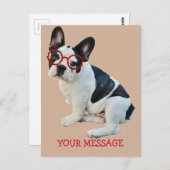 Carte Postale Chien-taureaux français noir et blanc portant des (Devant / Derrière)