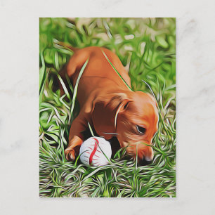 Carte Postale Chien Teckel chiot allongé dans l'herbe avec balle