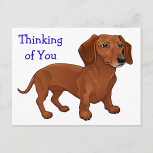 Carte Postale Chien teckel chiot - Bonjour, Pensées pour toi, Am