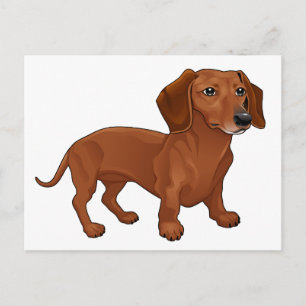 Carte Postale Chien teckel chiot - Bonjour, Pensées pour vous, A