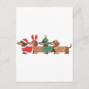 Carte Postale Chien teckel portant des amoureux de chien de Noël