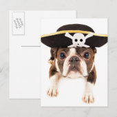 Carte Postale Chien Terrier De Boston Habillé Comme Un Pirate (Devant / Derrière)