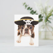 Carte Postale Chien Terrier De Boston Habillé Comme Un Pirate (Debout devant)