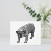 Carte Postale Chien-tête rapide (Debout devant)
