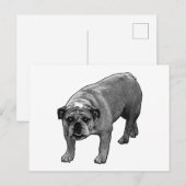 Carte Postale Chien-tête rapide (Devant / Derrière)