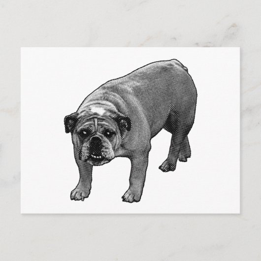 Carte Postale Chien-tête rapide (Devant)