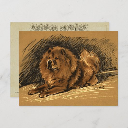 Carte Postale Chien vintage (Devant / Derrière)