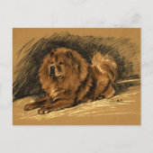 Carte Postale Chien vintage (Devant)