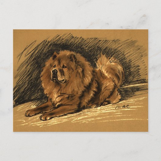 Carte Postale Chien vintage (Devant)