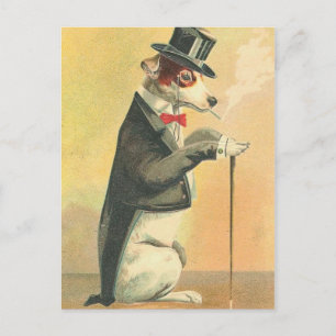 Carte postale Chien vintage