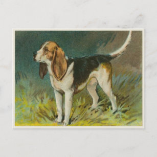 Carte Postale Chien vintage Avec Beagle mignon