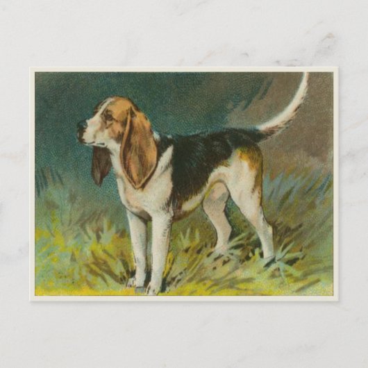 Carte Postale Chien vintage Avec Beagle mignon (Devant)