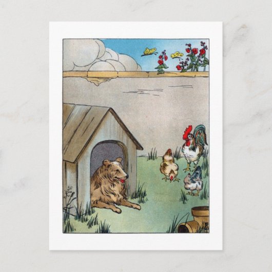 Carte Postale Chien vintage et poulets (Devant)