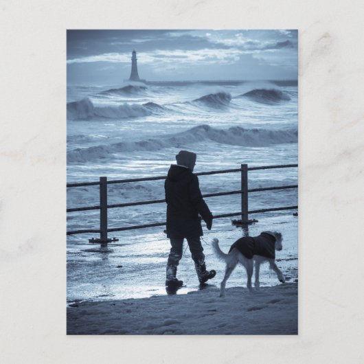 Carte Postale Chien Walker à Roker (Devant)