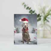 Carte Postale Chien Weimaraner de Noël (Debout devant)