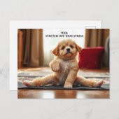 Carte Postale Chien Yoga (Devant / Derrière)