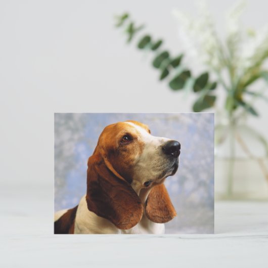 Carte Postale Chiens (Debout devant)